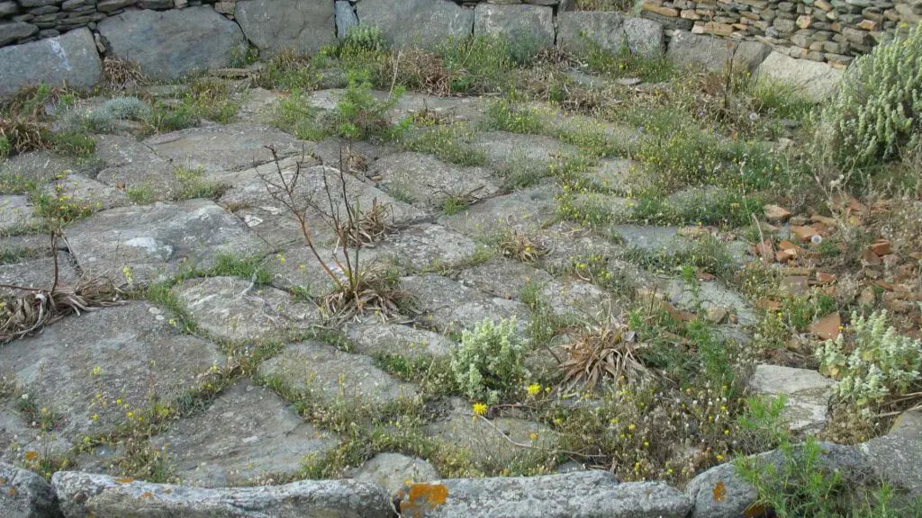 Discover the ancient charm of Kythnos Island with its stone circular structure, where overgrown grass and plants weave through the stones, all enclosed by a low stone wall. Perfect for any travel guide seeking hidden gems.