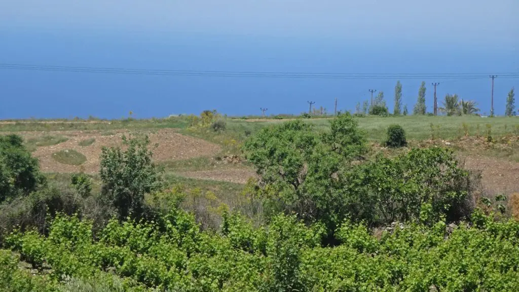 Looking south from Kathikas Village