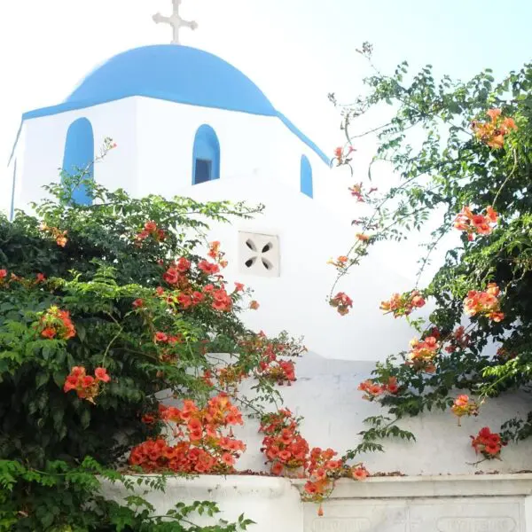 A white building with a blue dome sits amidst lush greenery and vibrant orange flowers, perfect for any traveler on a Greek Island-Hopping adventure. The picturesque scene is set against a bright sky, inviting you to include it in your itineraries.