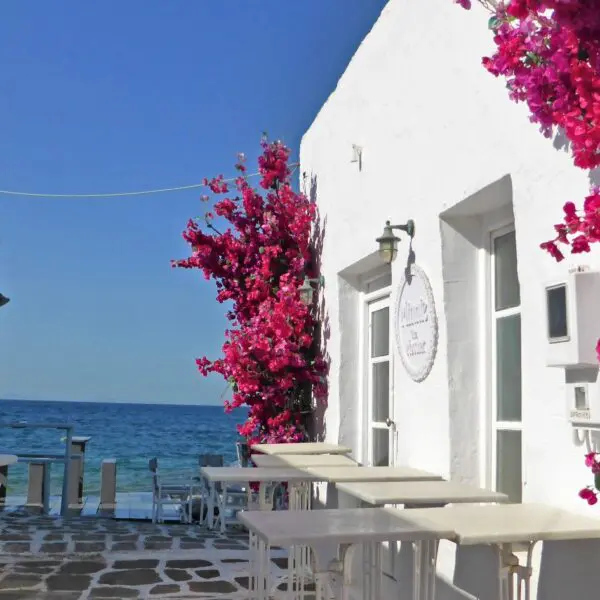 In Naoussa, Paros, white buildings adorned with bright pink bougainvillea line a narrow path, guiding you to a stunning view of the sea beneath a clear blue sky.
