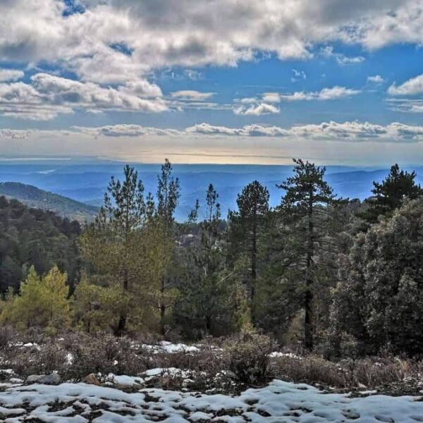 Troodos-mountians-in-December-cyprus