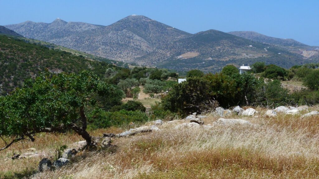 The Sifnos Countryside - it's never far between homes, churches, and villages - A scenic landscape of rolling hills with sparse vegetation, trees, and distant mountains under a clear blue sky resembles the beauty found on Sifnos Island.