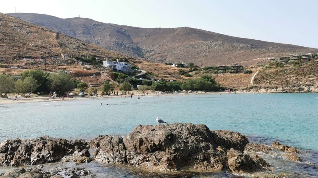 A rocky coastline on Serifos Island showcases a seagull soaring over clear turquoise waters, with a beach in the background. Hills dotted with scattered houses rise gracefully behind the beach, inviting exploration and discovery on this enchanting travel guide destination.