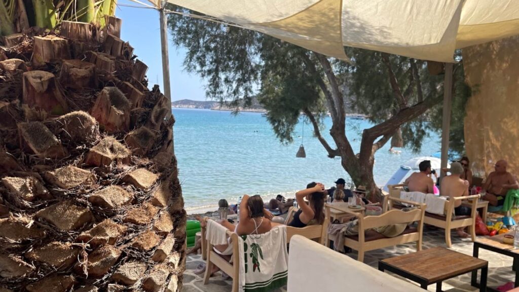 Lost Bay Cocktail Restaurant, Sifnos Island - People sitting on a shaded patio near the beach under trees, with a palm tree elegantly framing the scene. It's the perfect spot to soak in the tranquility and charm that makes Sifnos Island a must-visit travel guide destination.