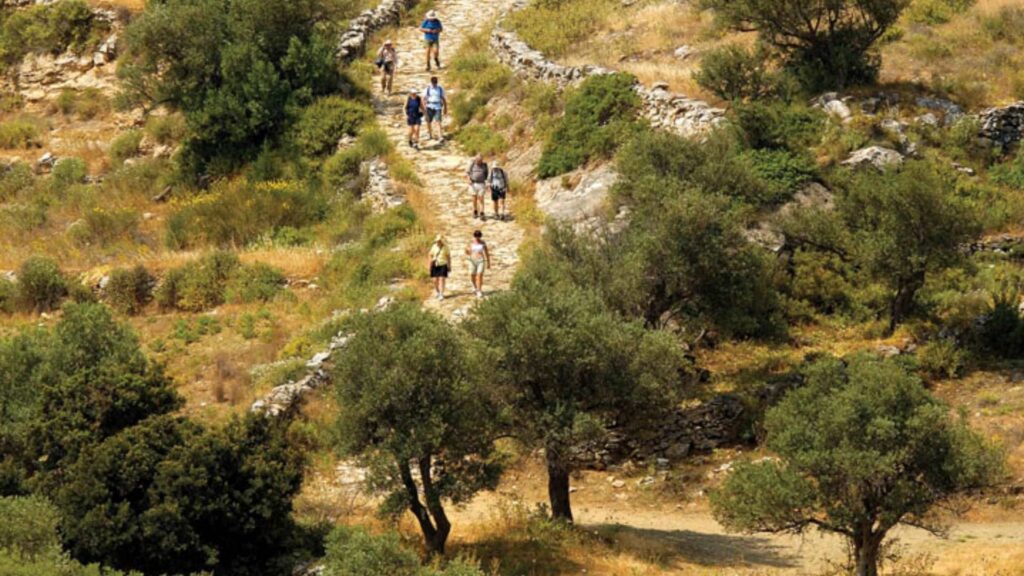 A group of people hiking on a narrow, rocky trail on Paros, surrounded by greenery and sparse trees under the sunny island skies.