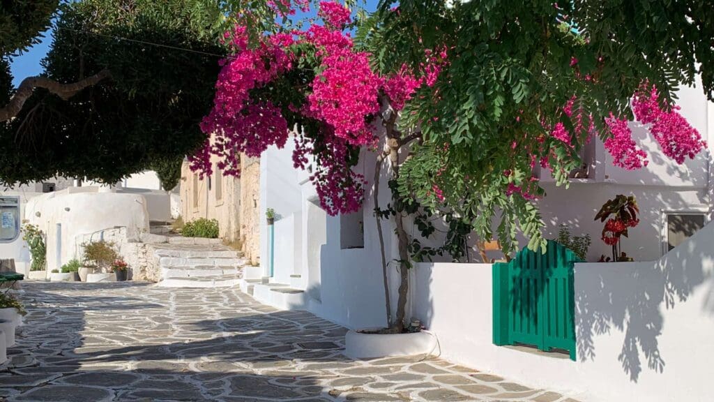 A narrow stone-paved street on Sikinos Island boasts white buildings, vibrant pink bougainvillea, and a green gate, all under a clear blue sky.