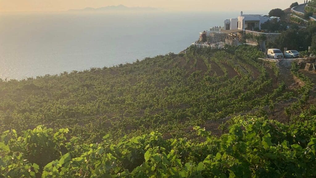 Perched on a hillside, this vineyard offers breathtaking views of the water, with a charming house and parked vehicles silhouetted by the sunset. The serene landscape evokes the tranquil beauty of Sikinos Island.