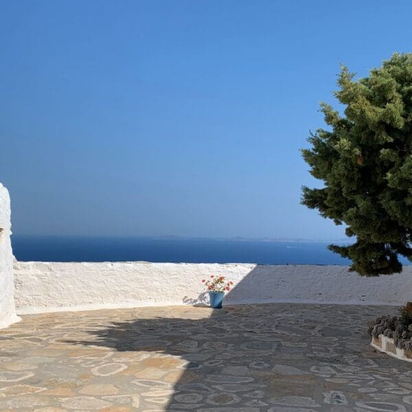 A sunny courtyard with stone paving, whitewashed walls, potted plants, and a large tree overlooks the calm blue sea of Sikinos Island.