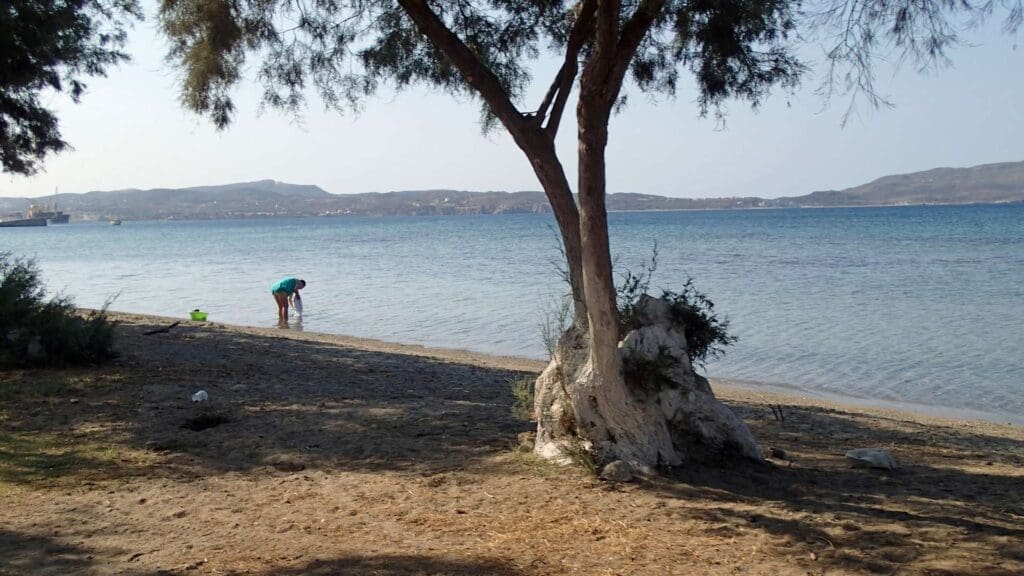 A person bends near the shoreline on a sandy beach, with a tree in the foreground and distant hills across the sea—a serene scene that makes Milos Beaches one of the must-see spots for any traveler.