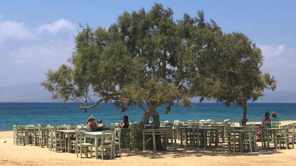 Outdoor dining setup with green tables and chairs under a tree on the sandy shores of Naxos, with the ocean and clear sky providing a stunning backdrop.