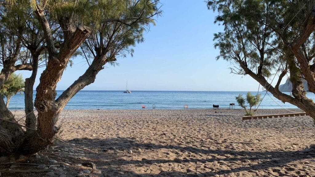 A sandy beach on Tilos, Greece, with scattered trees framing a serene view of the sea. In the distance, a single sailboat glides across the water beneath a clear sky, embodying peaceful solitude.