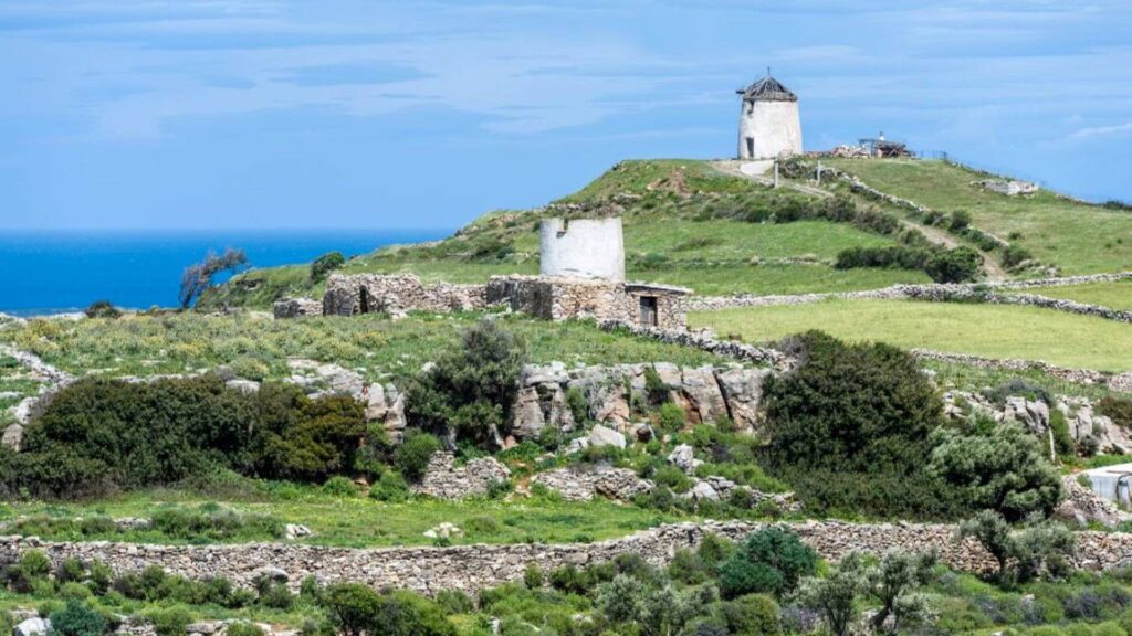 A landscape with old stone windmills on a grassy hillside under a blue sky, with the sea visible in the background, captures the timeless charm of Lefkes, Paros.