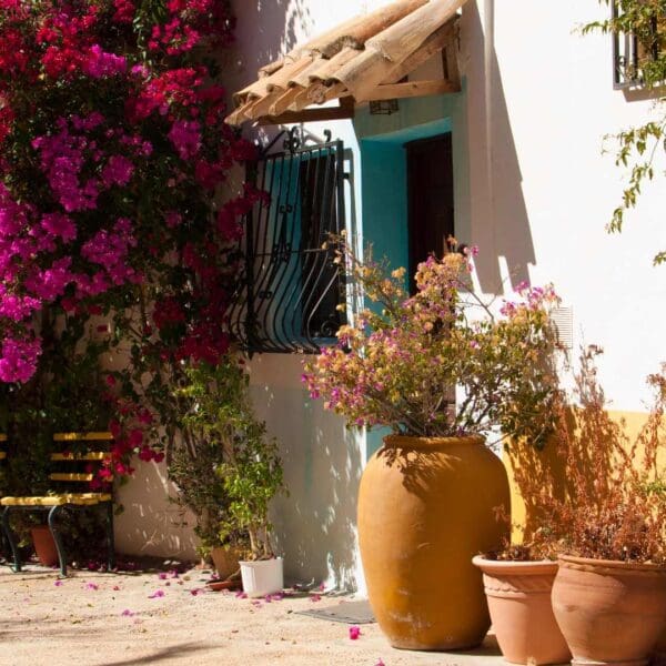 Multi-country Mediterranean tours