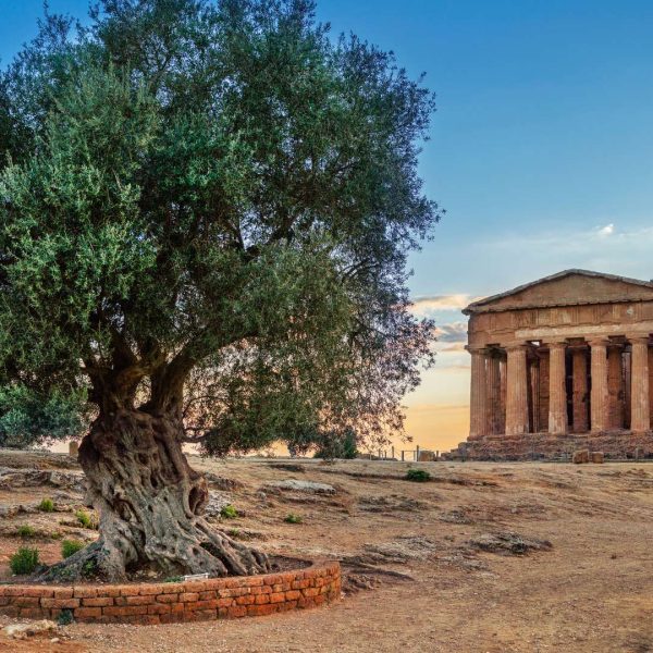 Valley of the Temples, Agrigento